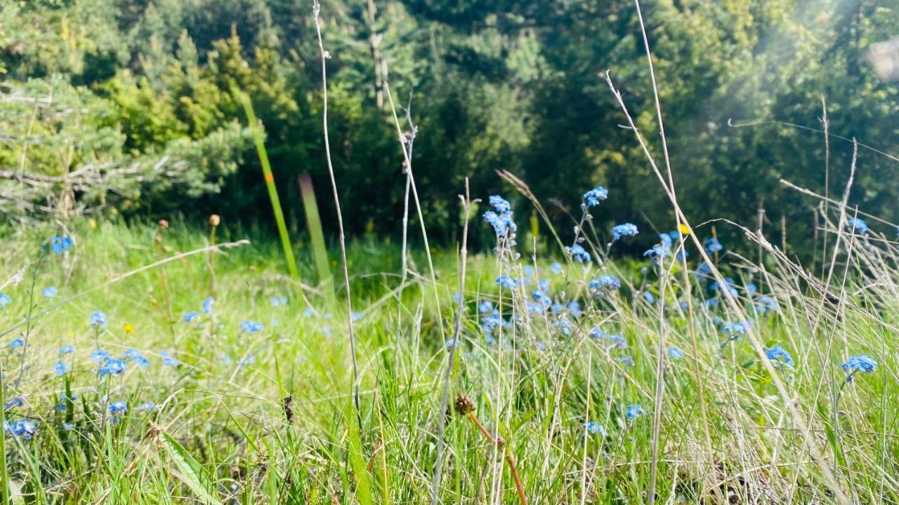 Eco Village Pavlovic Žabljak Exteriér fotografie