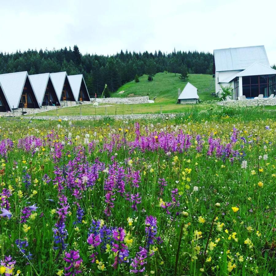 Eco Village Pavlovic Žabljak Exteriér fotografie