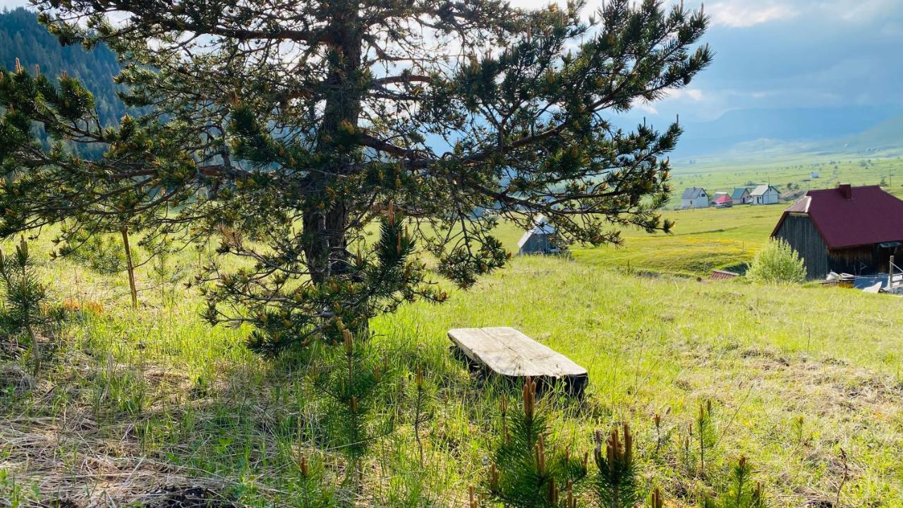 Eco Village Pavlovic Žabljak Exteriér fotografie