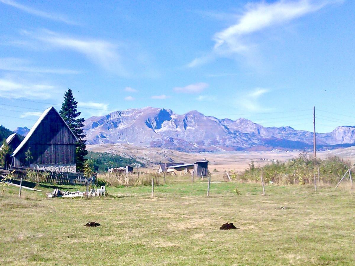 Eco Village Pavlovic Žabljak Exteriér fotografie