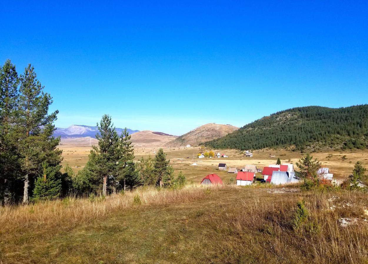 Eco Village Pavlovic Žabljak Exteriér fotografie