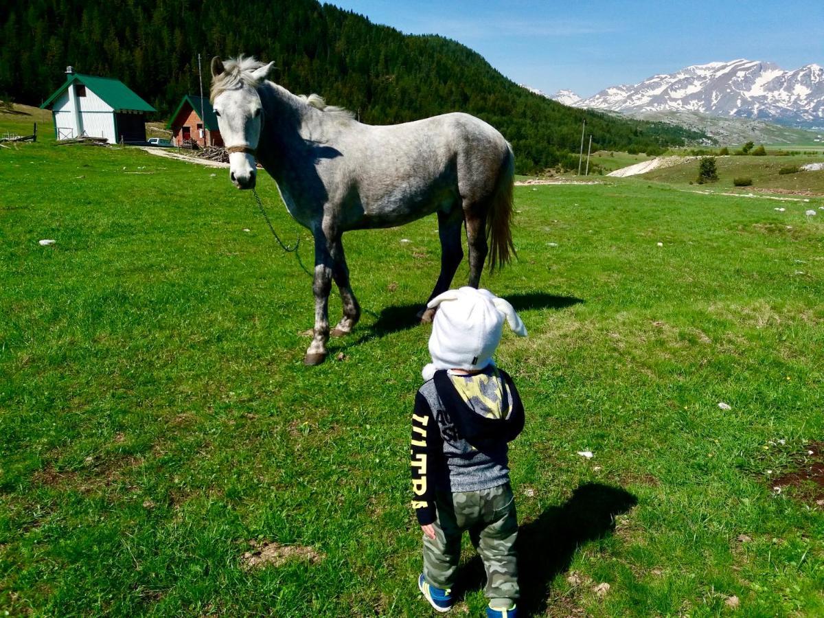 Eco Village Pavlovic Žabljak Exteriér fotografie